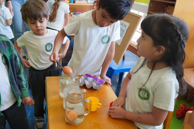 Semana MINT Kindergarten - Colegio Alemán Quito